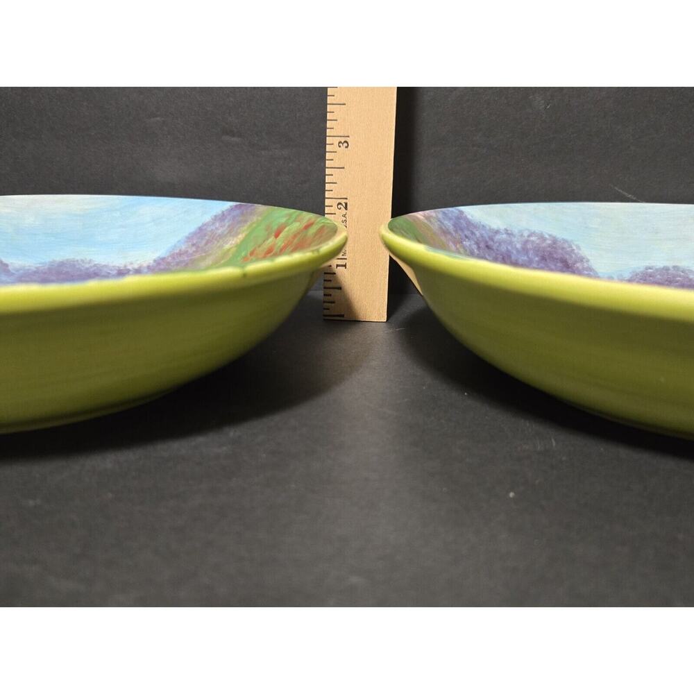 SET of‎ 2, 9" Bowls~ 222 Fifth Impressions~Gail Wells-Hess~Ogden Bay Marsh~ - Picture 9 of 9